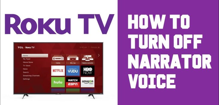 how to turn off roku voice