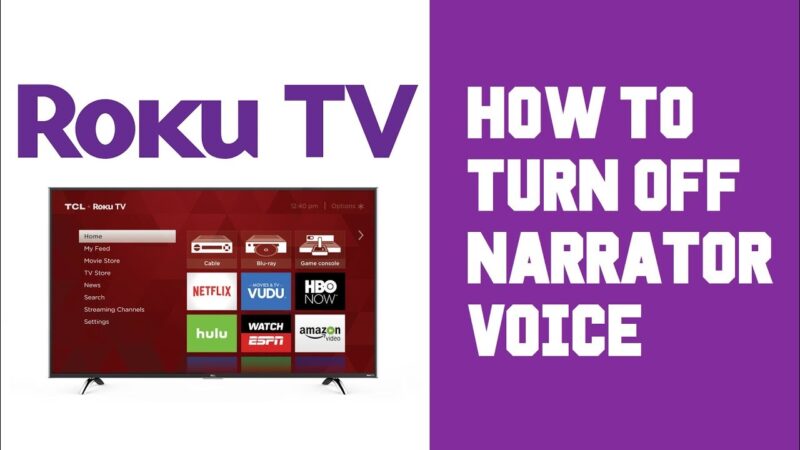 How To Turn Off Voice On Tcl Roku Tv